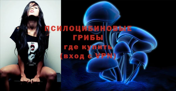 метадон Осташков