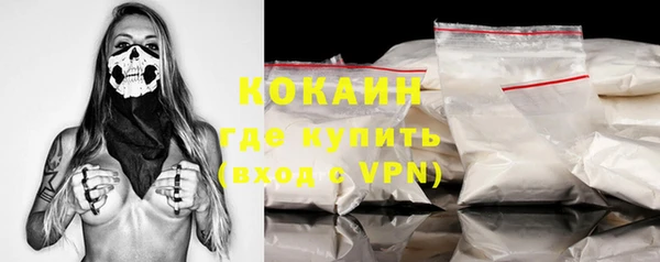 молекула духа Осинники