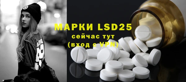 прущие грибы Ростов