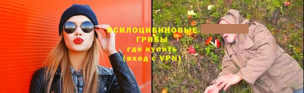 прущие грибы Ростов
