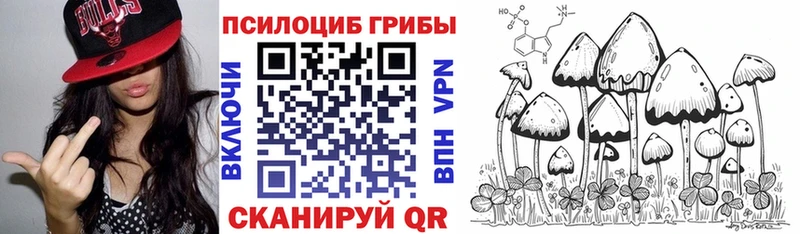 Галлюциногенные грибы мицелий  дарк нет состав  Отрадный 
