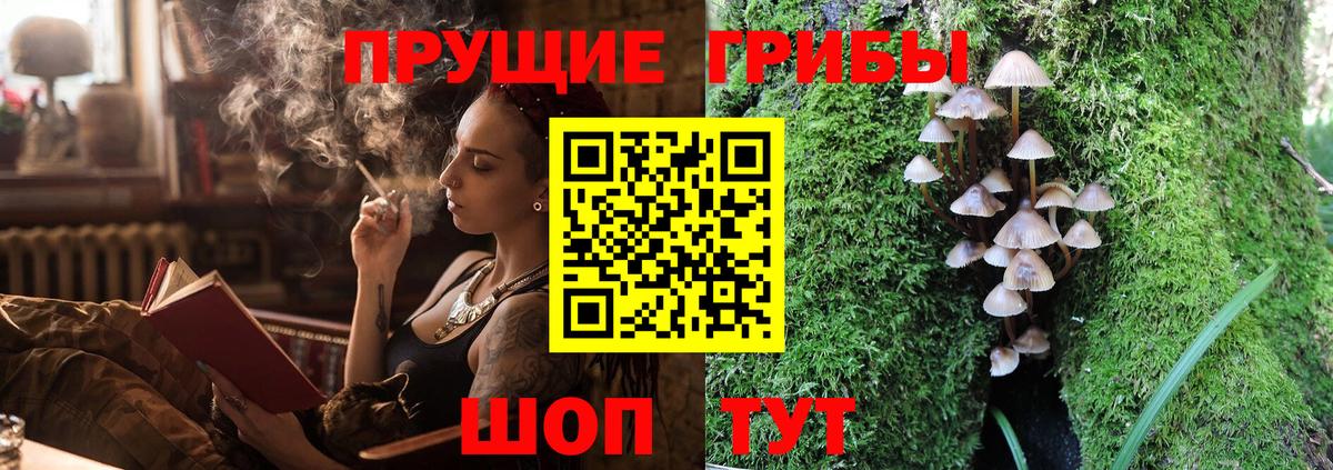 наркота  Галлюциногенные грибы Psilocybe  Вход с VPN  Отрадный 