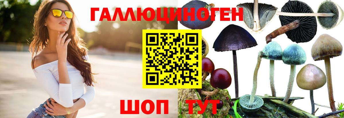 Псилоцибиновые грибы MAGIC MUSHROOMS Отрадный